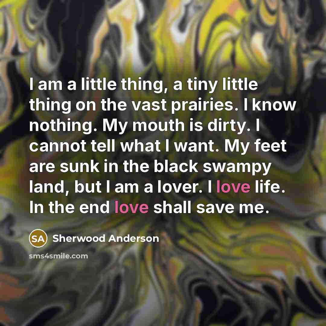 “I am a little thing, a tiny little thing on…” quote by Sherwood Anderson