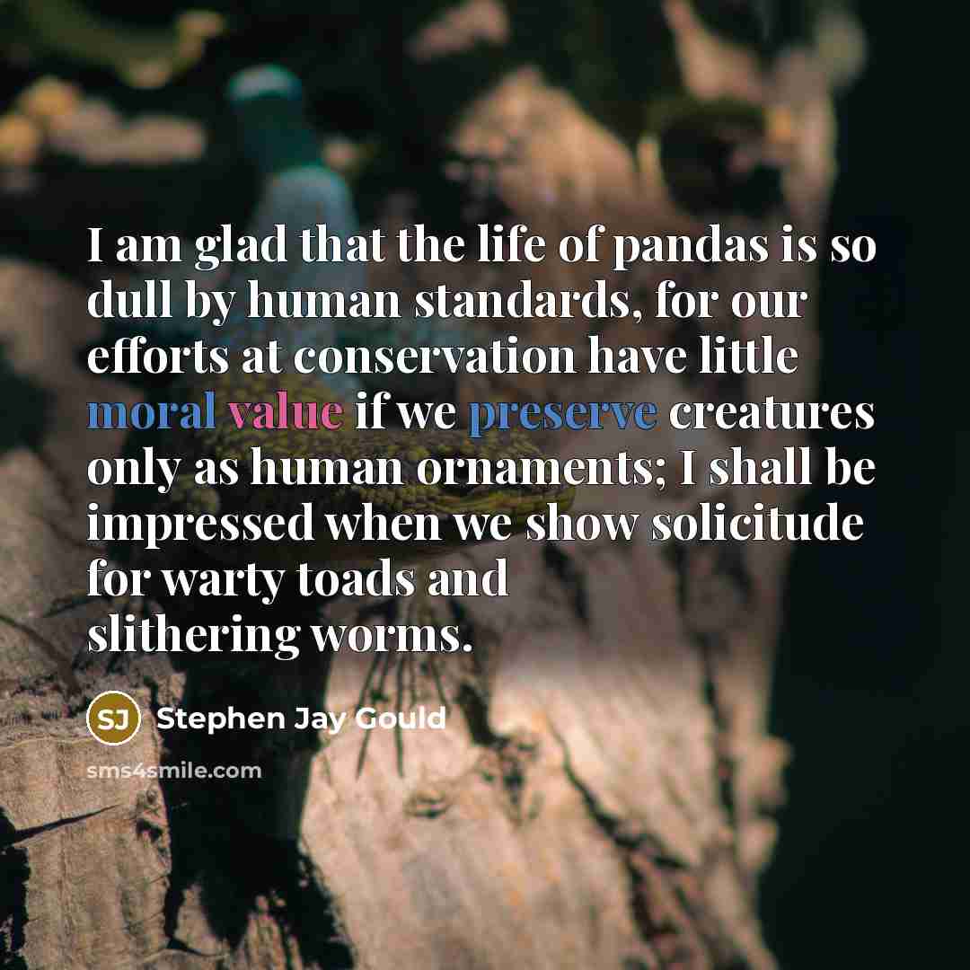 “I am glad that the life of pandas is so dull by human standards, for our efforts at conservation have little moral value if we preserve creatures only as human ornaments; I shall be impressed when we show solicitude for warty toads and slithering worms.” quote by Stephen Jay Gould