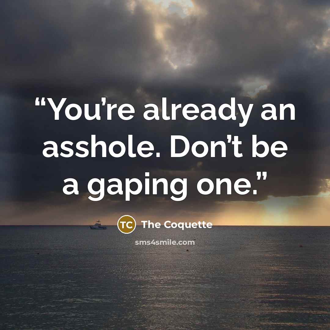 “You’re already an asshole. Don’t be a gaping one.” quote by The Coquette