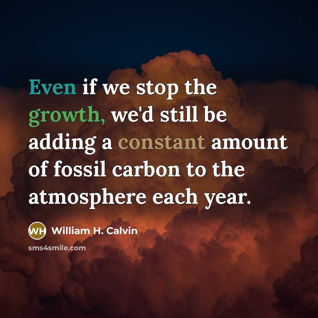“Even if we stop the growth, we'd still be adding…” quote by William H. Calvin