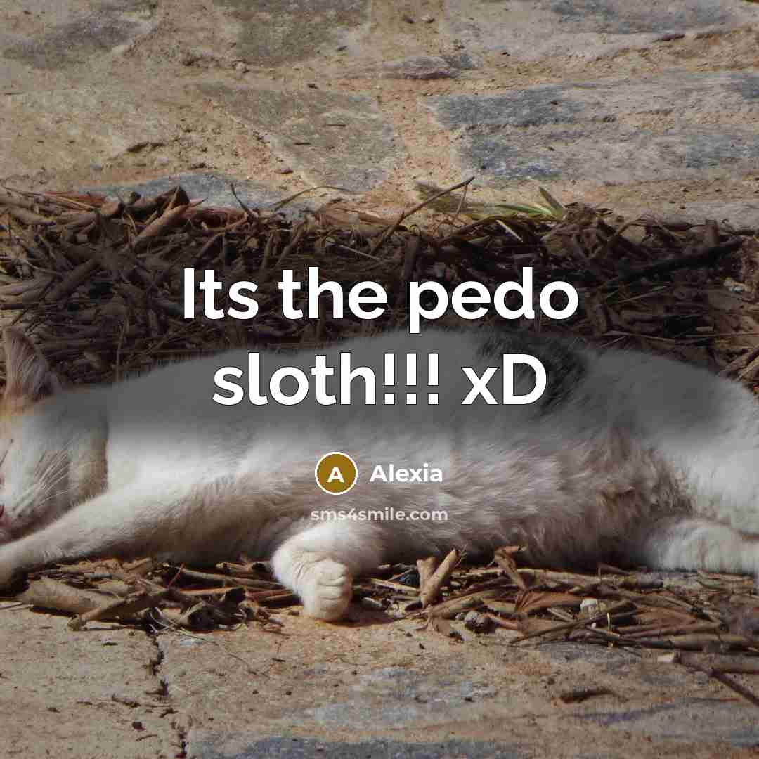 “Its the pedo sloth!!! xD…” quote by Alexia