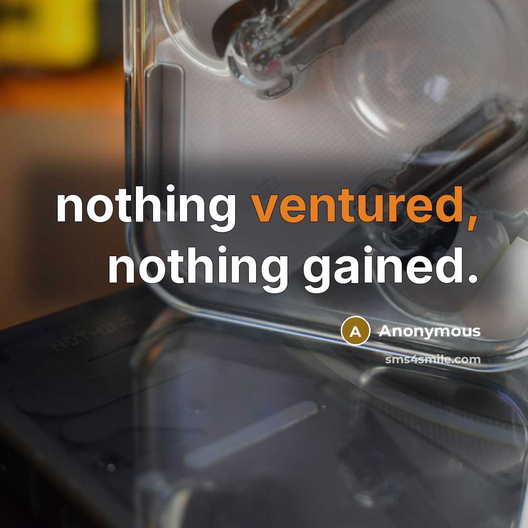 “nothing ventured, nothing gained.” quote by Anonymous