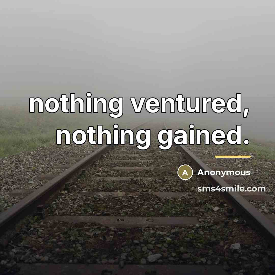 “nothing ventured, nothing gained.…” quote by Anonymous