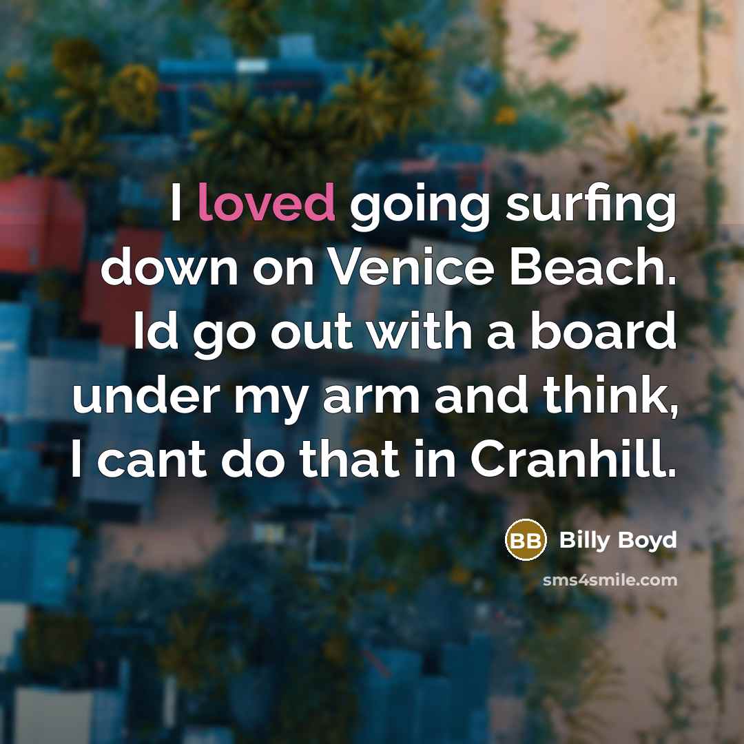 “I loved going surfing down on Venice Beach. Id go…” quote by Billy Boyd