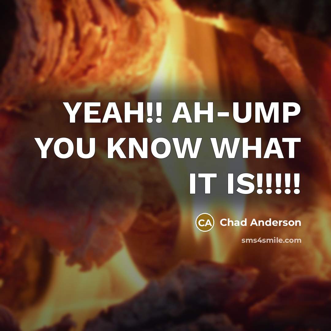 “YEAH!! AH-UMP YOU KNOW WHAT IT IS!!!!!” quote by Chad Anderson