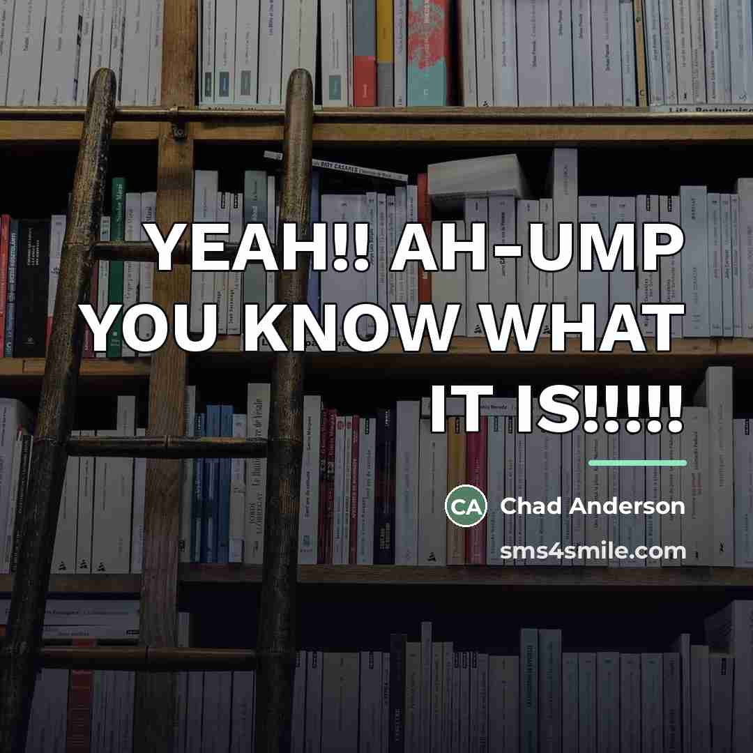 “YEAH!! AH-UMP YOU KNOW WHAT IT IS!!!!!…” quote by Chad Anderson