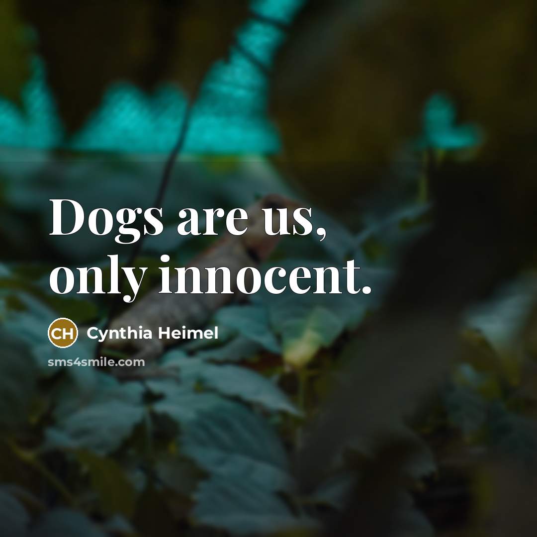 “Dogs are us, only innocent.” quote by Cynthia Heimel