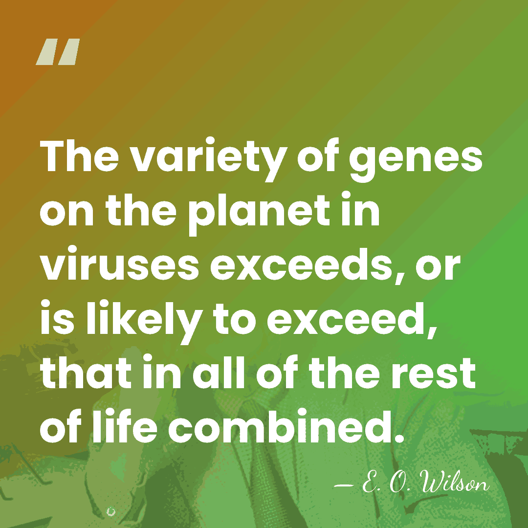 The variety of genes on the planet in viruses exceeds, or is&hellip; - E. O. Wilson