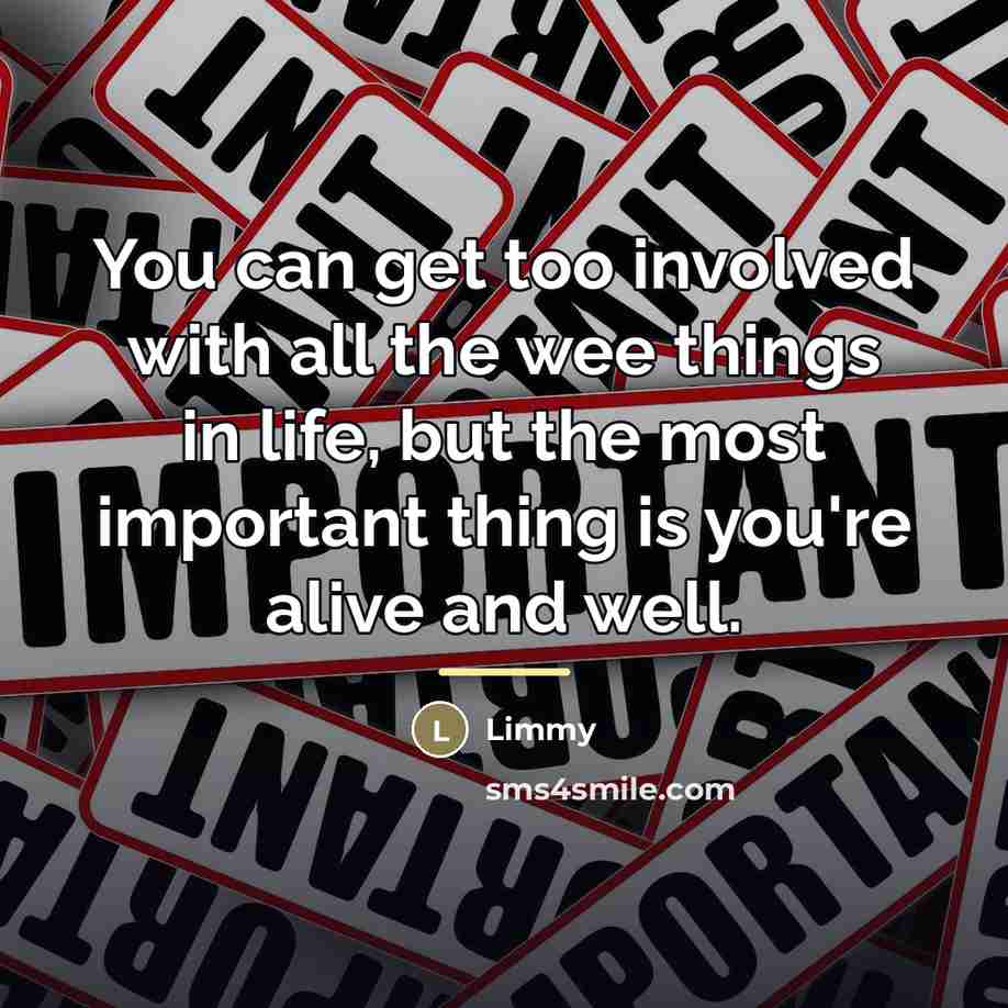 “You can get too involved with all the wee things…” quote by Limmy