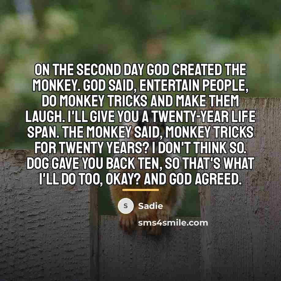 “On the second day God created the monkey. God said,…” quote by Sadie