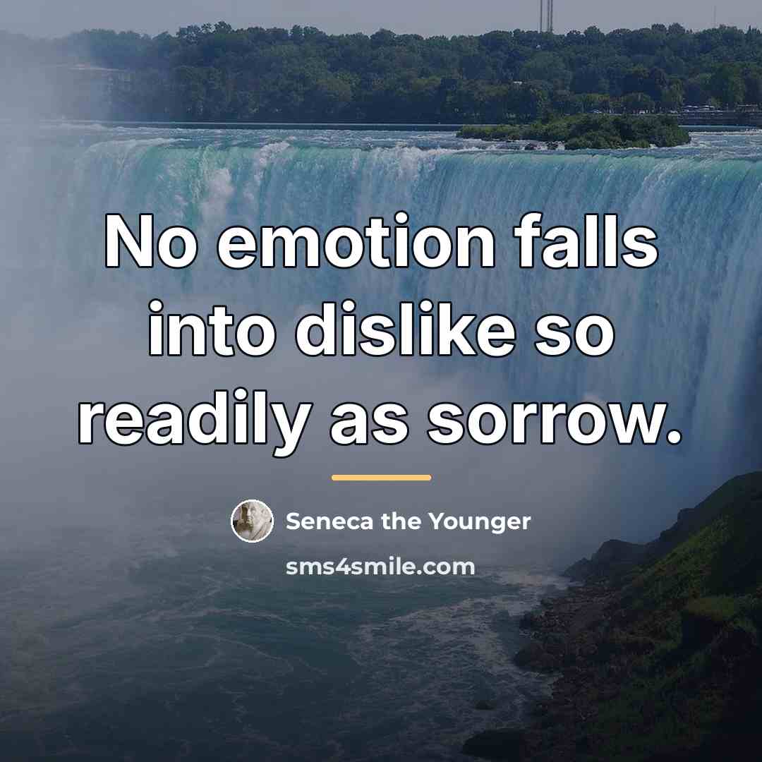 “No emotion falls into dislike so readily as sorrow.…” quote by Seneca the Younger