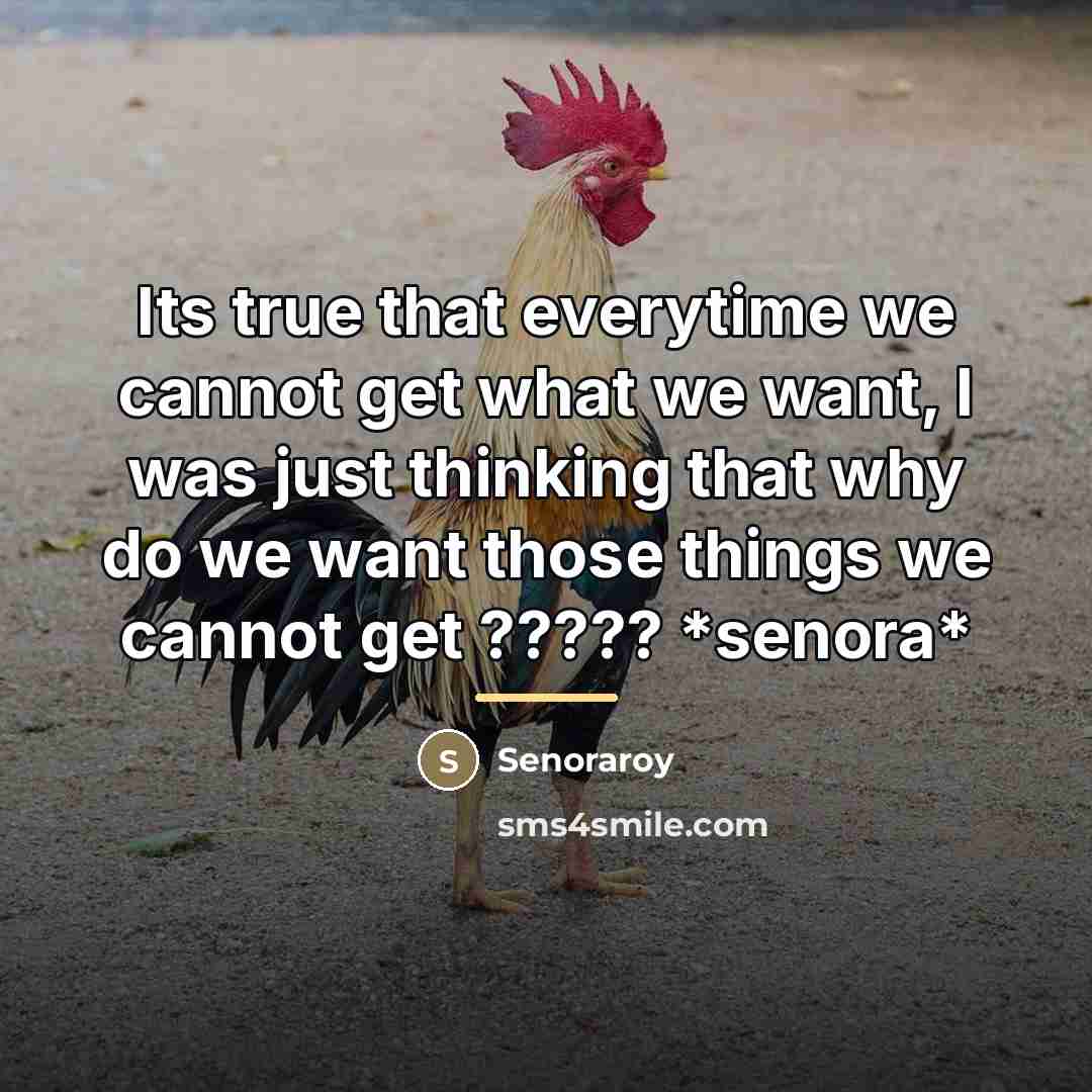 “Its true that everytime we cannot get what we want,…” quote by Senoraroy