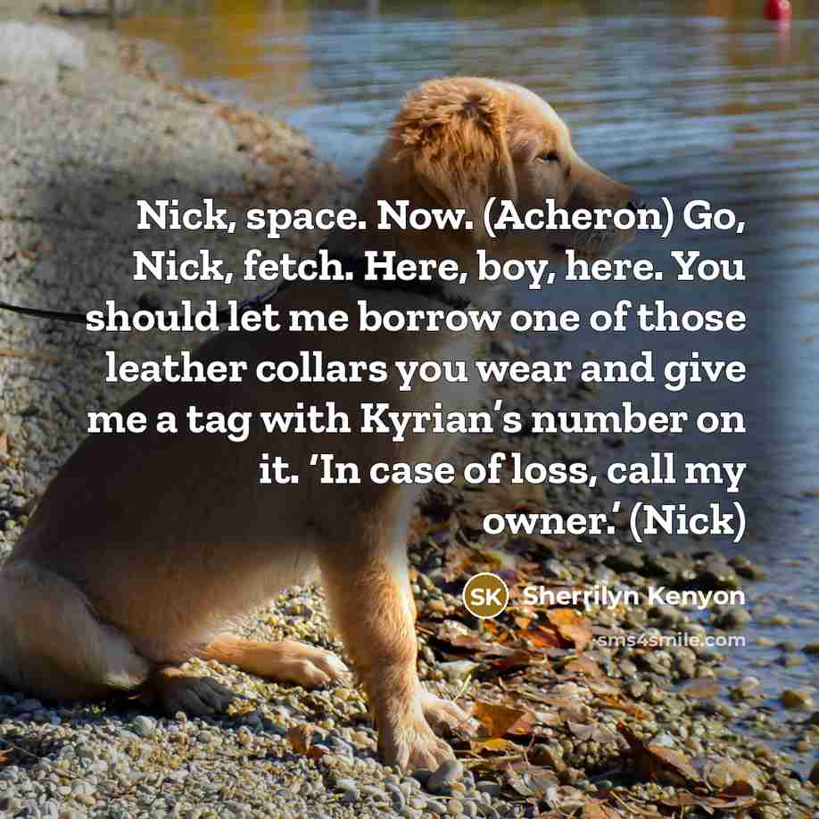 “Nick, space. Now. (Acheron) Go, Nick, fetch. Here, boy, here.…” quote by Sherrilyn Kenyon