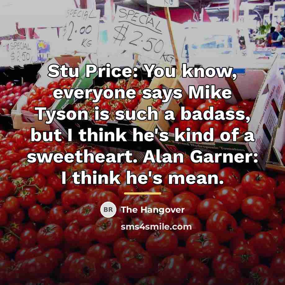 “Stu Price: You know, everyone says Mike Tyson is such…” quote by The Hangover