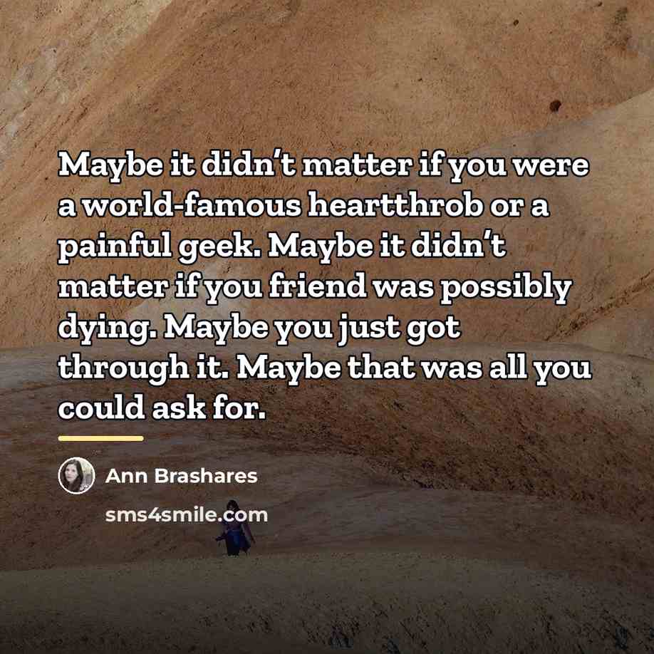 “Maybe it didn’t matter if you were a world-famous heartthrob…” quote by Ann Brashares