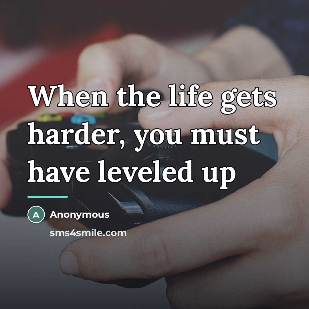 “When the life gets harder, you must have leveled up…” quote by Anonymous