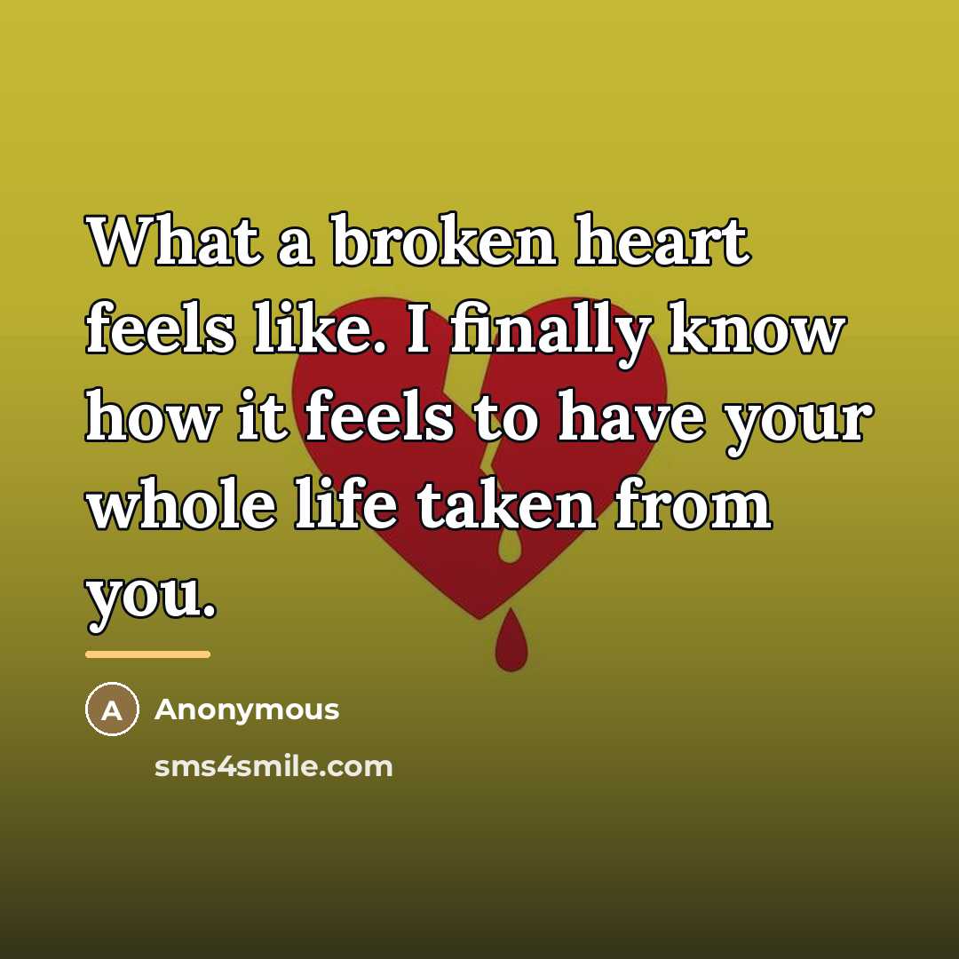 “What a broken heart feels like. I finally know how…” quote by Anonymous