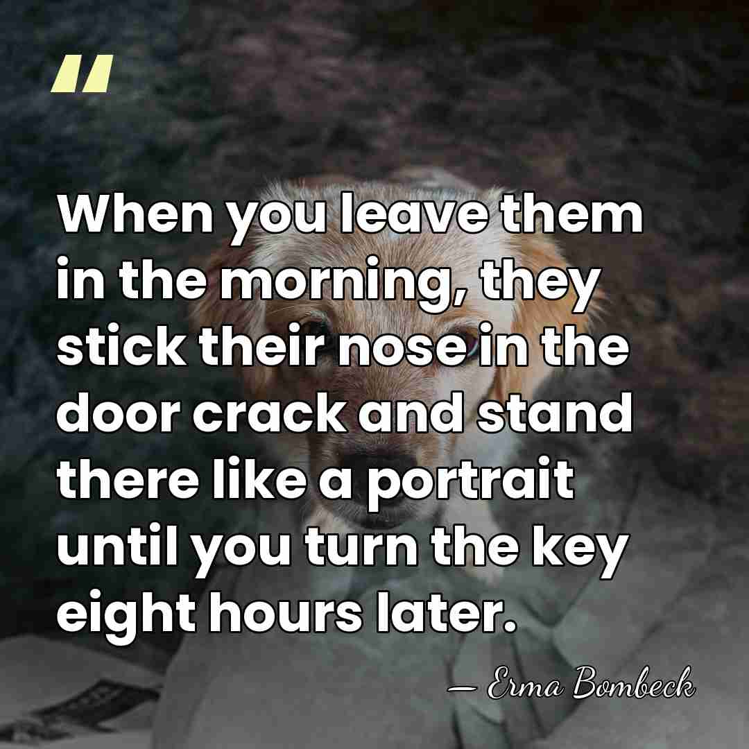 When you leave them in the morning, they stick their nose in&hellip; - Erma Bombeck