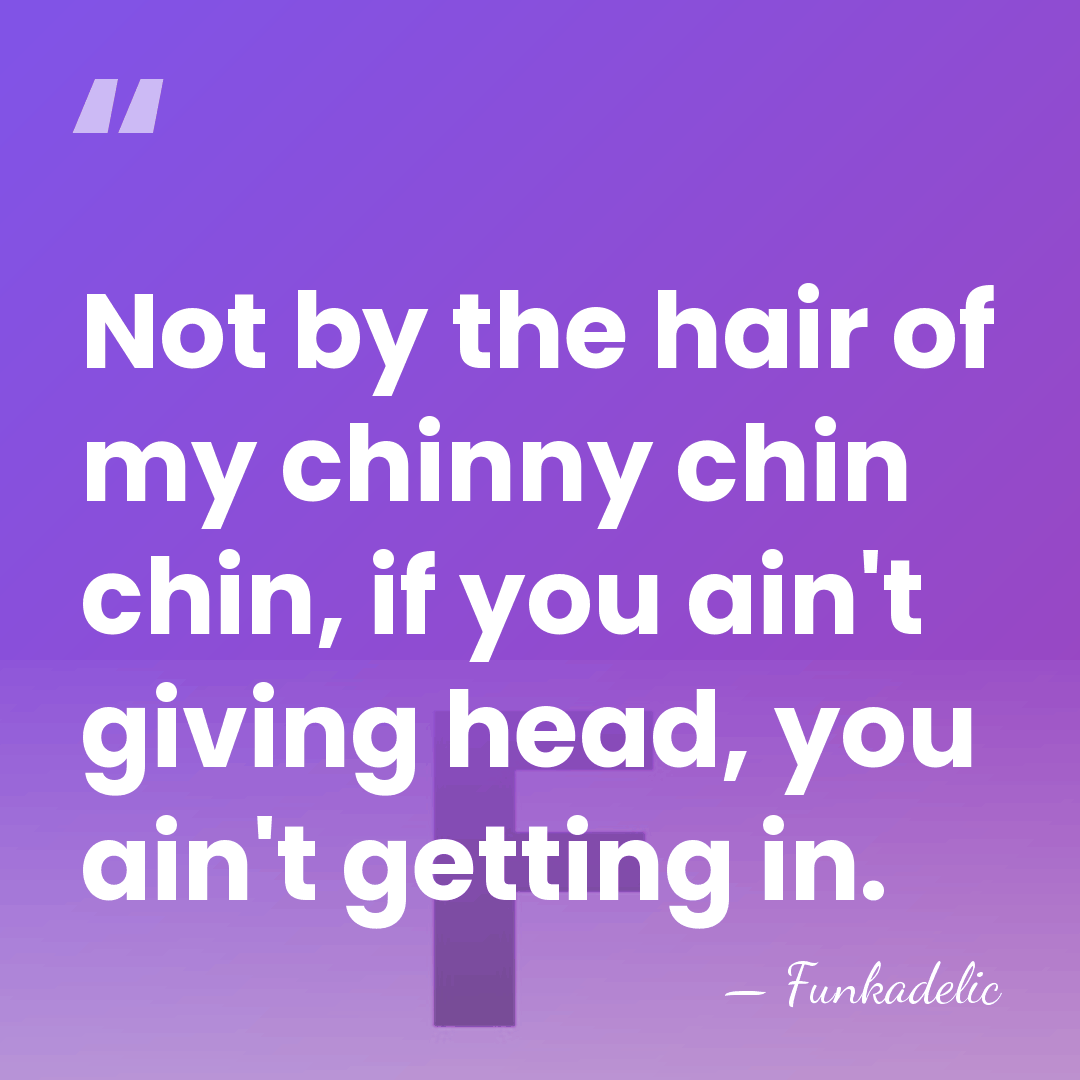 Not by the hair of my chinny chin chin, if you ain't&hellip; - Funkadelic