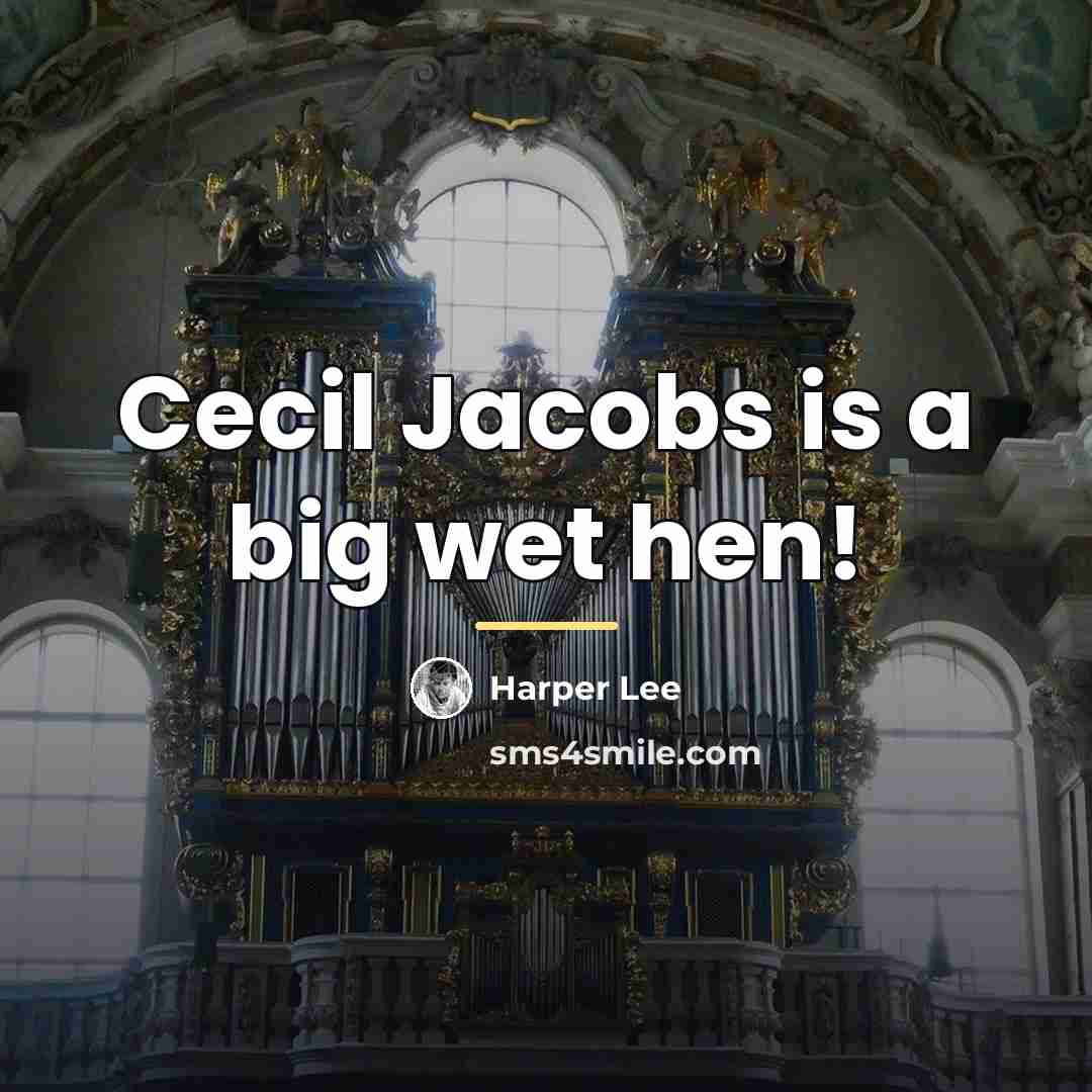 “Cecil Jacobs is a big wet hen!…” quote by Harper Lee