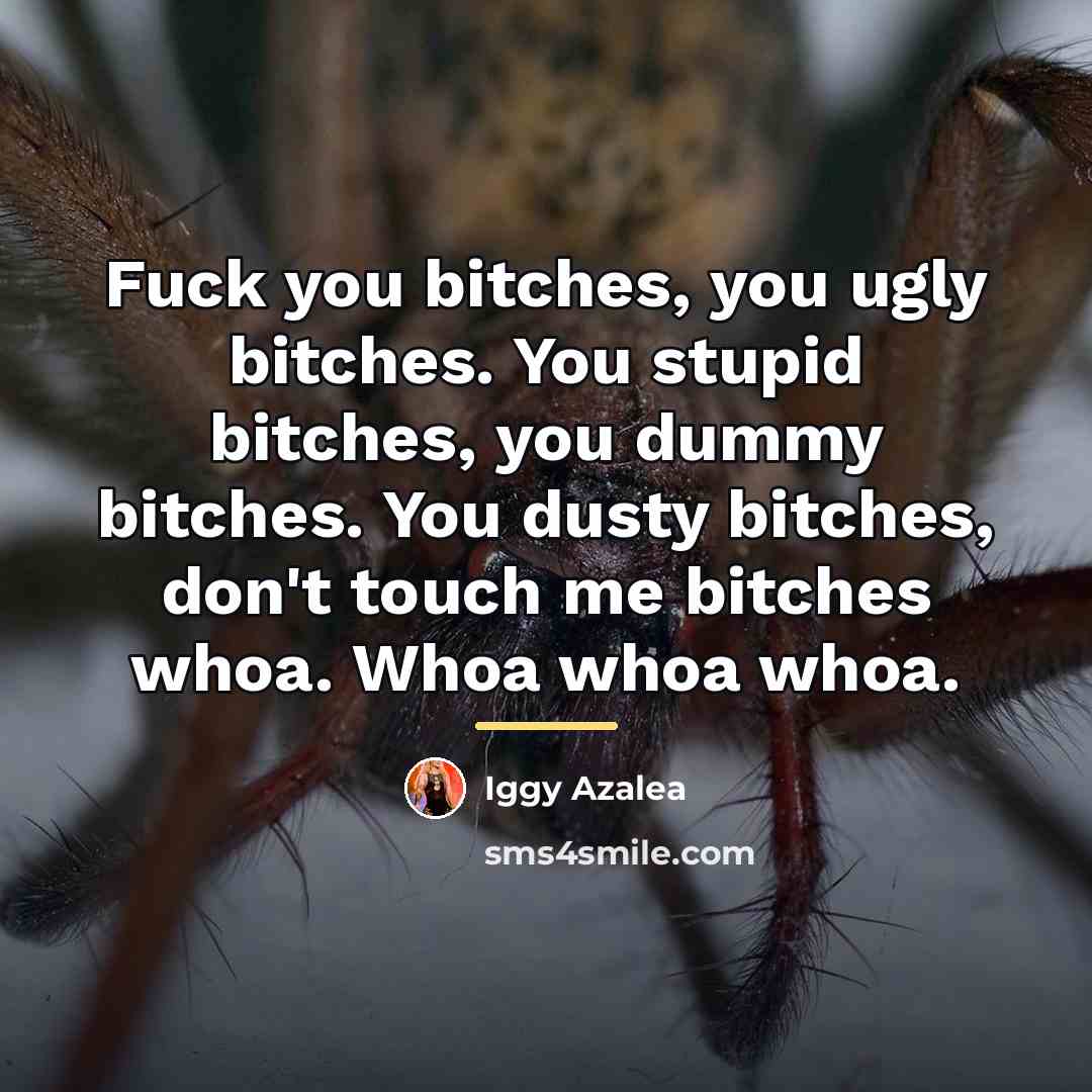 “Fuck you bitches, you ugly bitches. You stupid bitches, you…” quote by Iggy Azalea