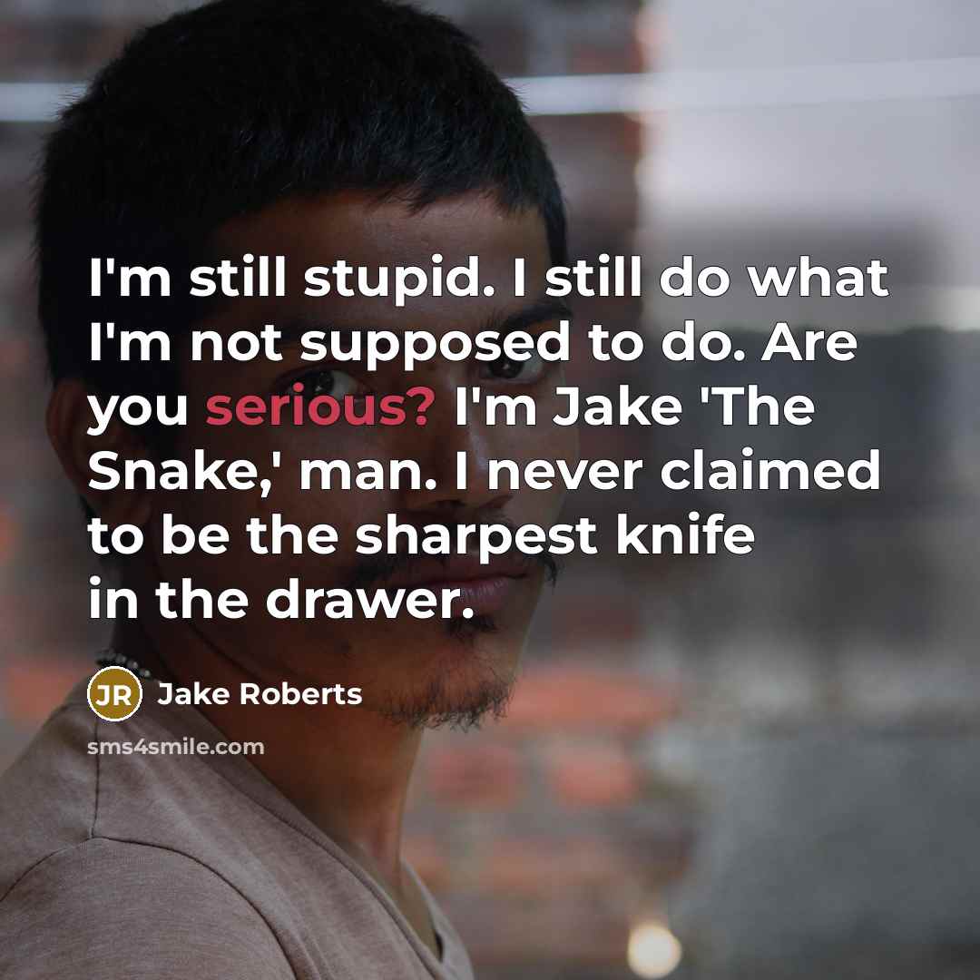 “I'm still stupid. I still do what I'm not supposed…” quote by Jake Roberts