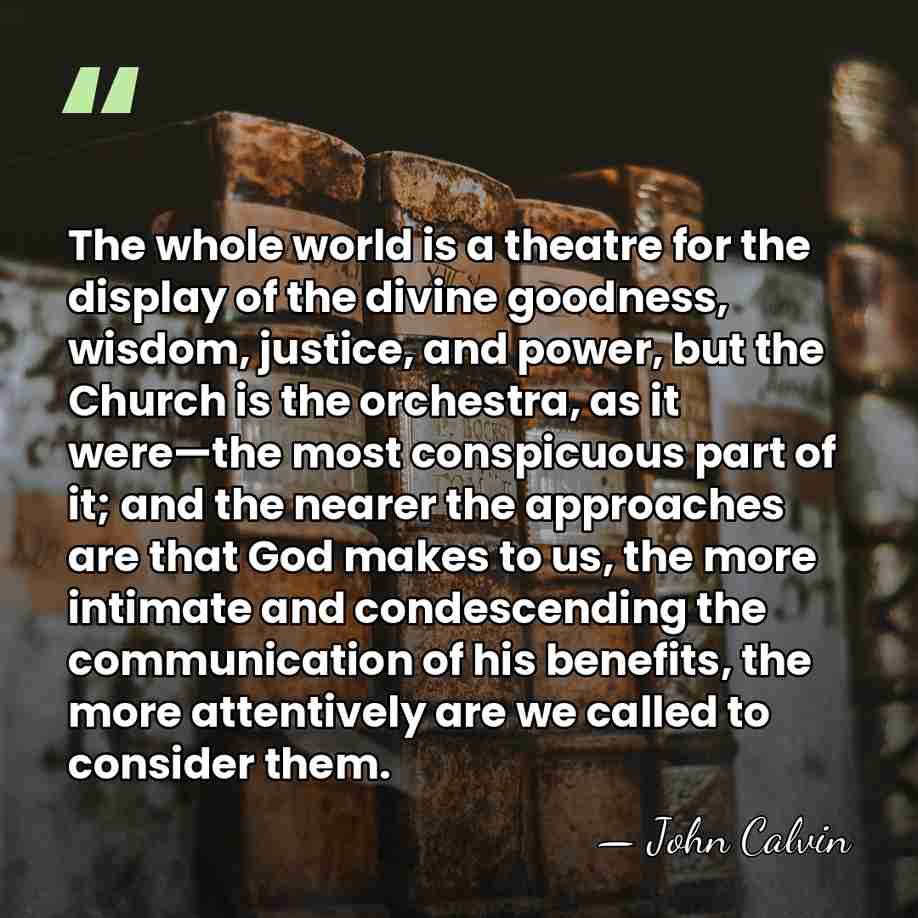 The whole world is a theatre for the display of the divine&hellip; - John Calvin