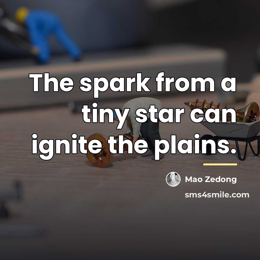 “The spark from a tiny star can ignite the plains.…” quote by Mao Zedong