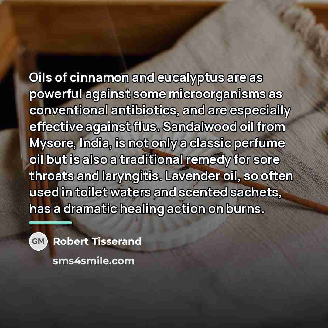 “Oils of cinnamon and eucalyptus are as powerful against some…” quote by Robert Tisserand