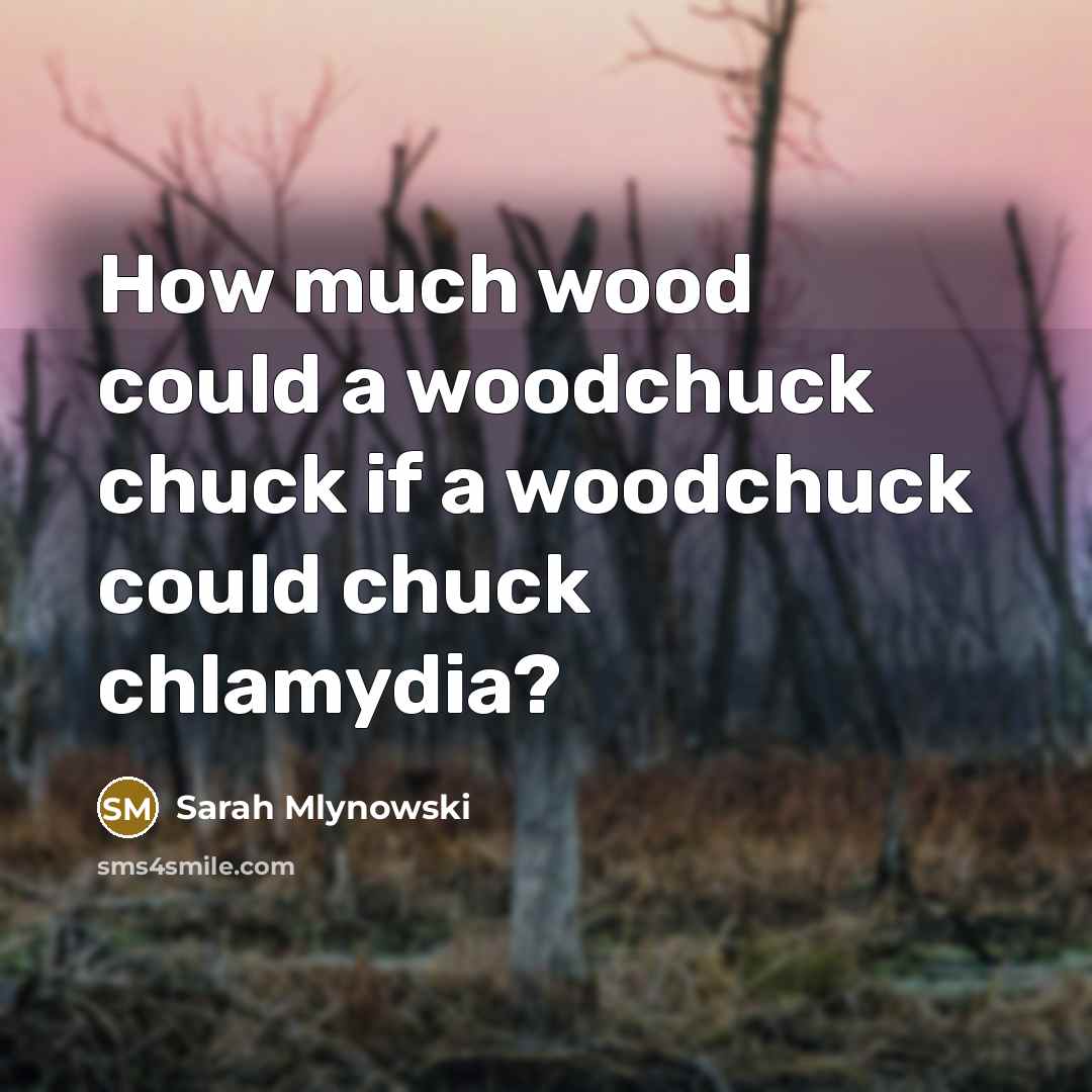 “How much wood could a woodchuck chuck if a woodchuck…” quote by Sarah Mlynowski