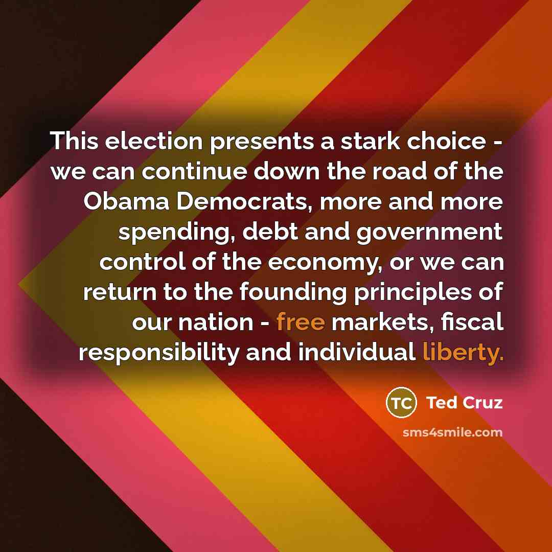 “This election presents a stark choice - we can continue down the road of the Obama Democrats, more and more spending, debt and government control of the economy, or we can return to the founding principles of our nation - free markets, fiscal responsibility and individual liberty.” quote by Ted Cruz