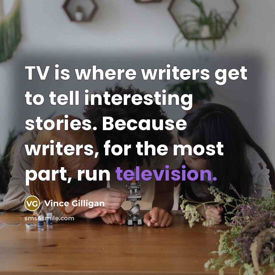 “TV is where writers get to tell interesting stories. Because…” quote by Vince Gilligan