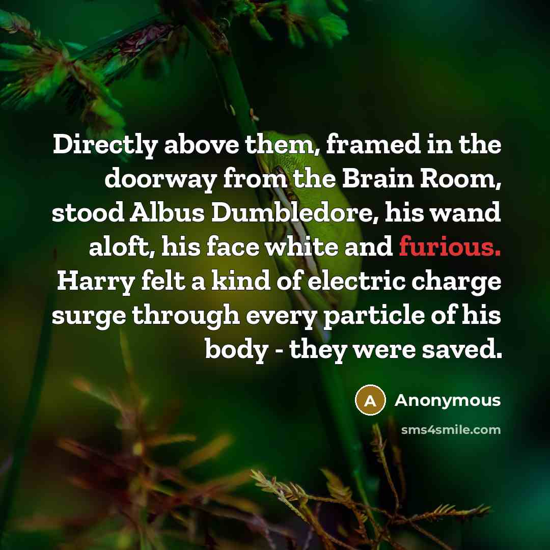 “Directly above them, framed in the doorway from the Brain…” quote by Anonymous