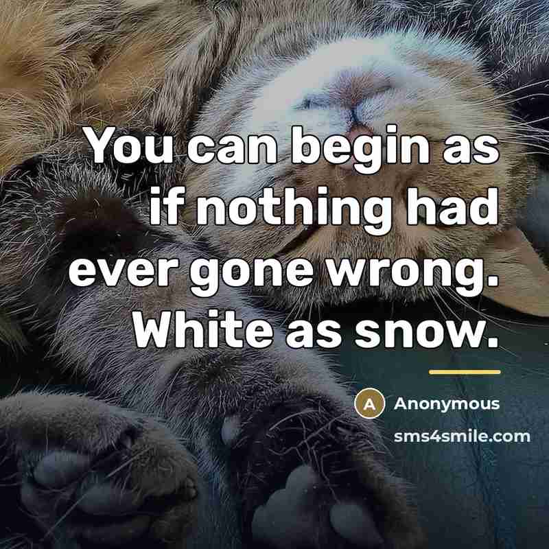 “You can begin as if nothing had ever gone wrong.…” quote by Anonymous