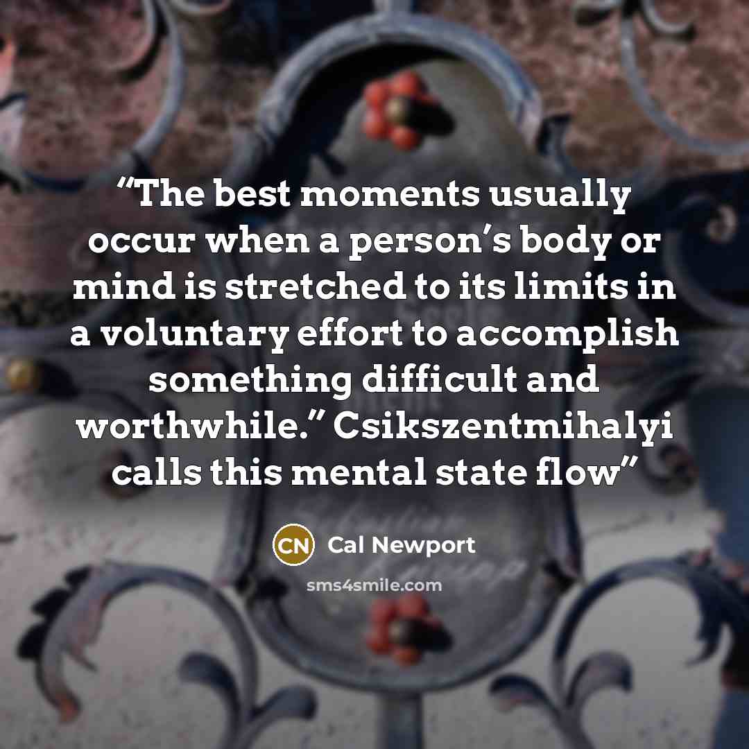 “The best moments usually occur when a person’s body or mind is stretched to its limits in a voluntary effort to accomplish something difficult and worthwhile.” Csikszentmihalyi calls this mental state flow” quote by Cal Newport