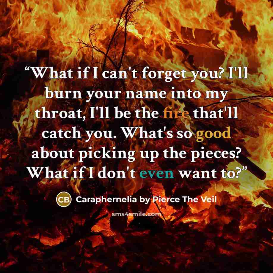 “What if I can't forget you? I'll burn your name into my throat, I'll be the fire that'll catch you. What's so good about picking up the pieces? What if I don't even want to?” quote by Caraphernelia by Pierce The Veil