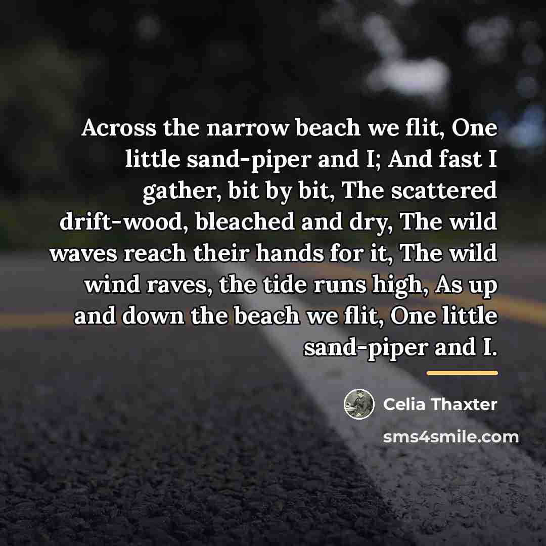 “Across the narrow beach we flit, One little sand-piper and…” quote by Celia Thaxter