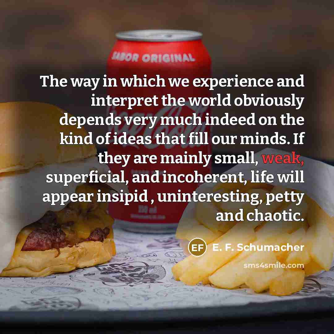 “The way in which we experience and interpret the world…” quote by E. F. Schumacher