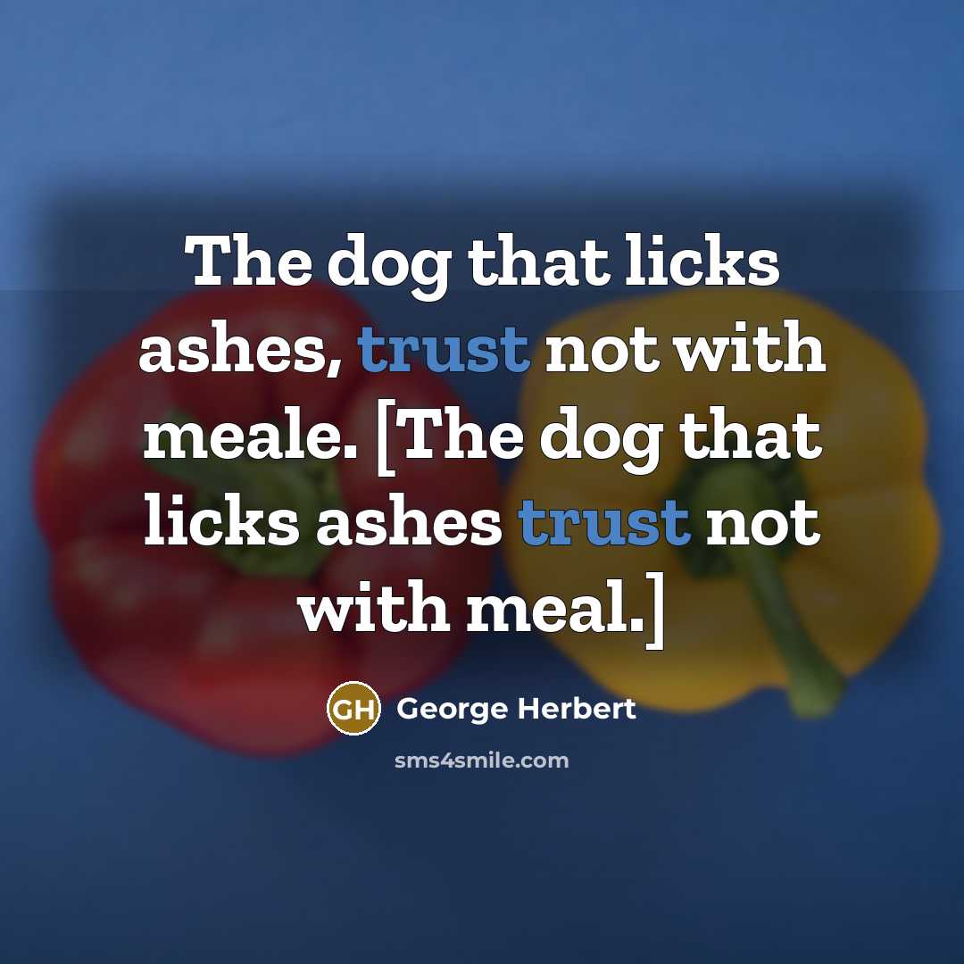 “The dog that licks ashes, trust not with meale. [The…” quote by George Herbert