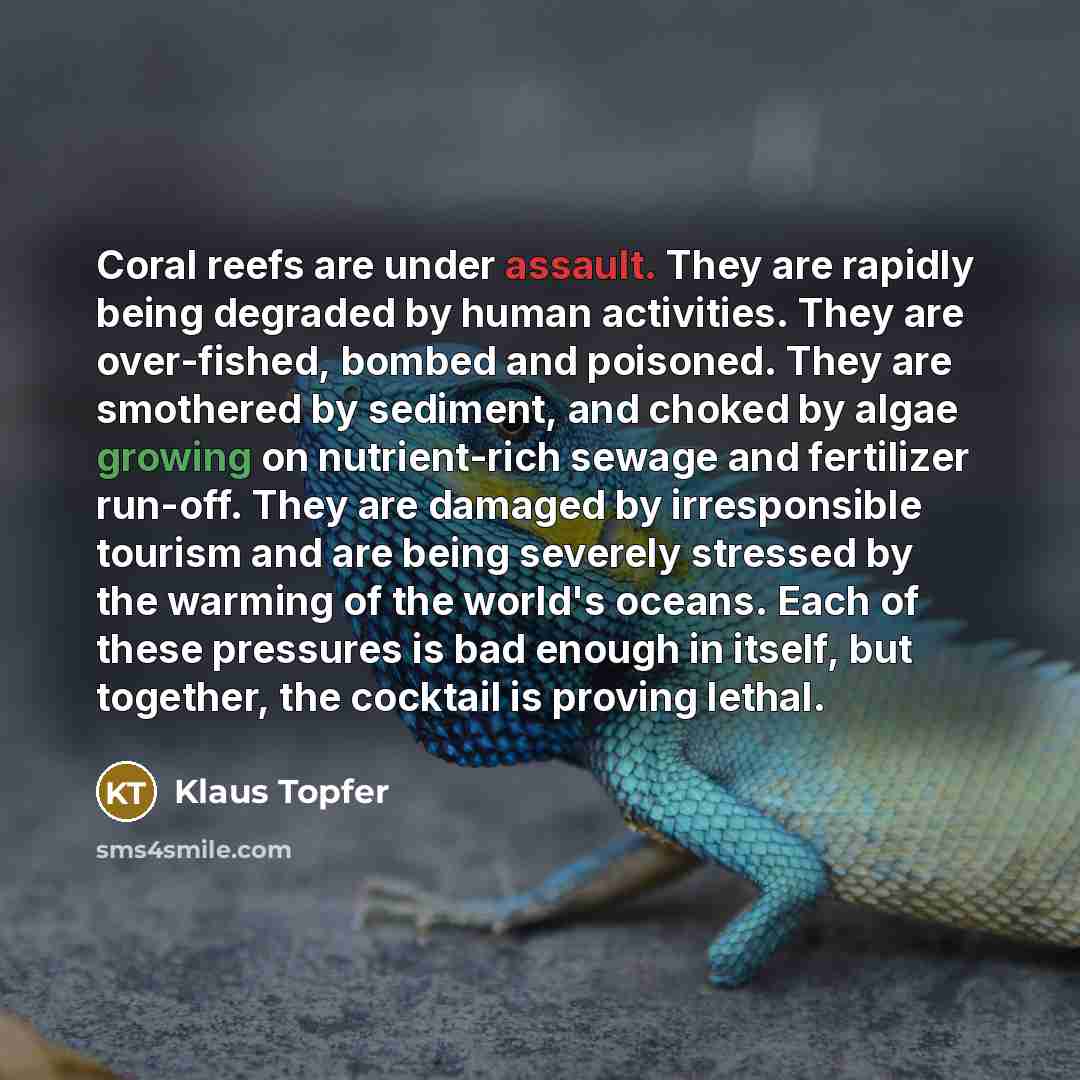 “Coral reefs are under assault. They are rapidly being degraded…” quote by Klaus Topfer