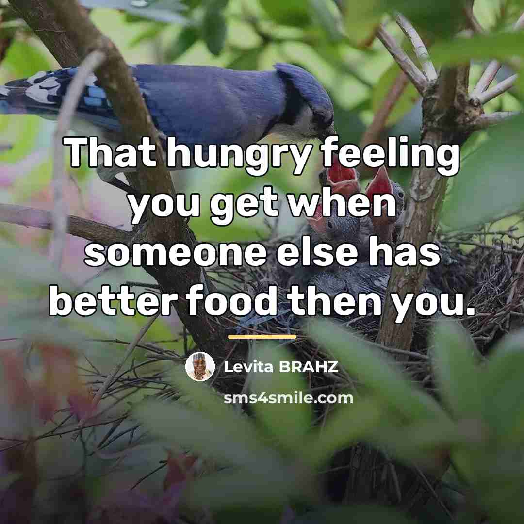 “That hungry feeling you get when someone else has better…” quote by Levita Brahz