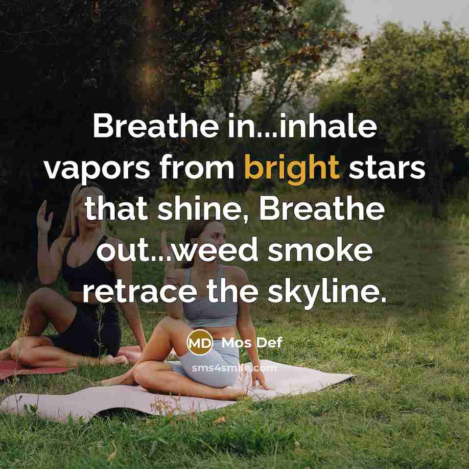 “Breathe in...inhale vapors from bright stars that shine, Breathe out...weed…” quote by Mos Def
