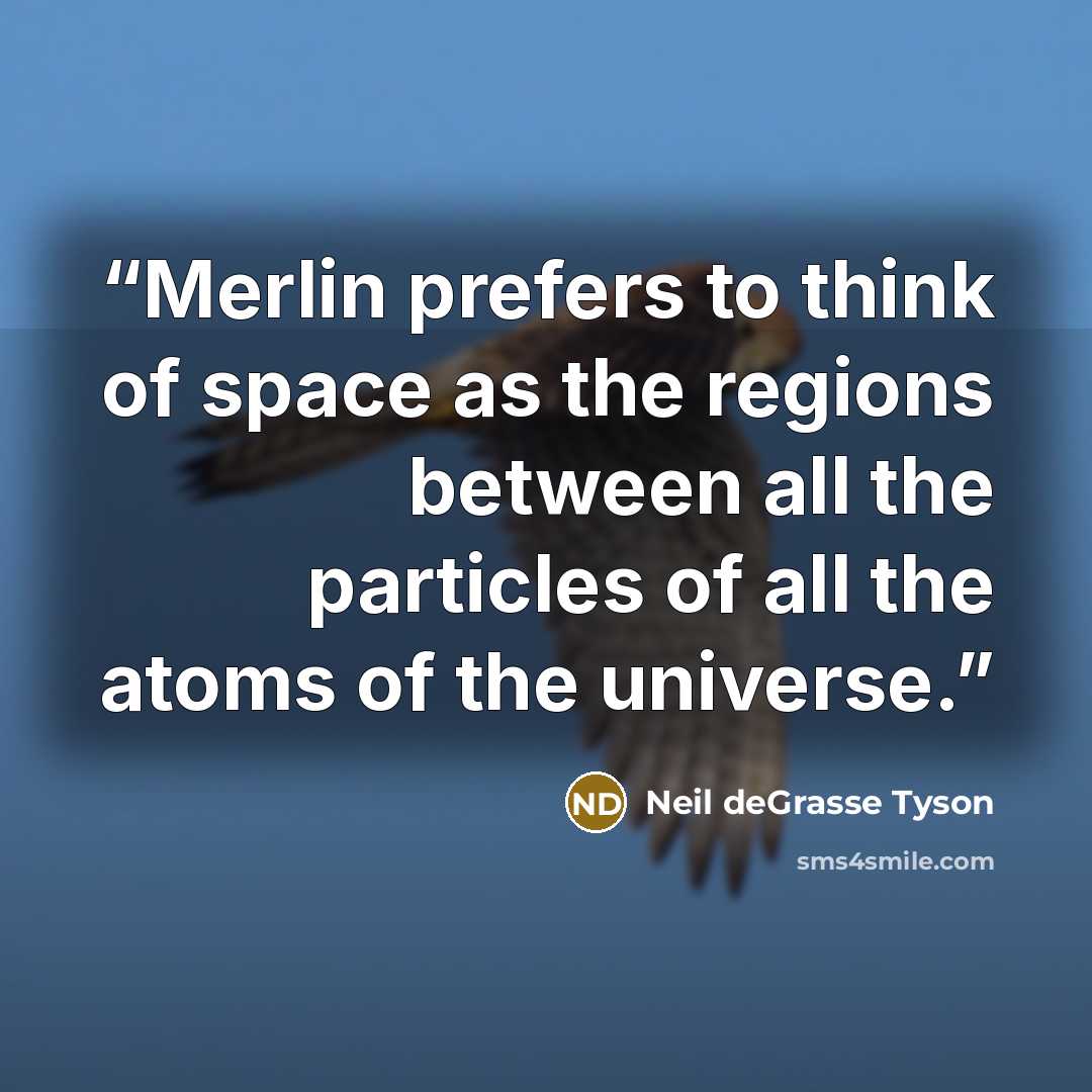 “Merlin prefers to think of space as the regions between all the particles of all the atoms of the universe.” quote by Neil deGrasse Tyson
