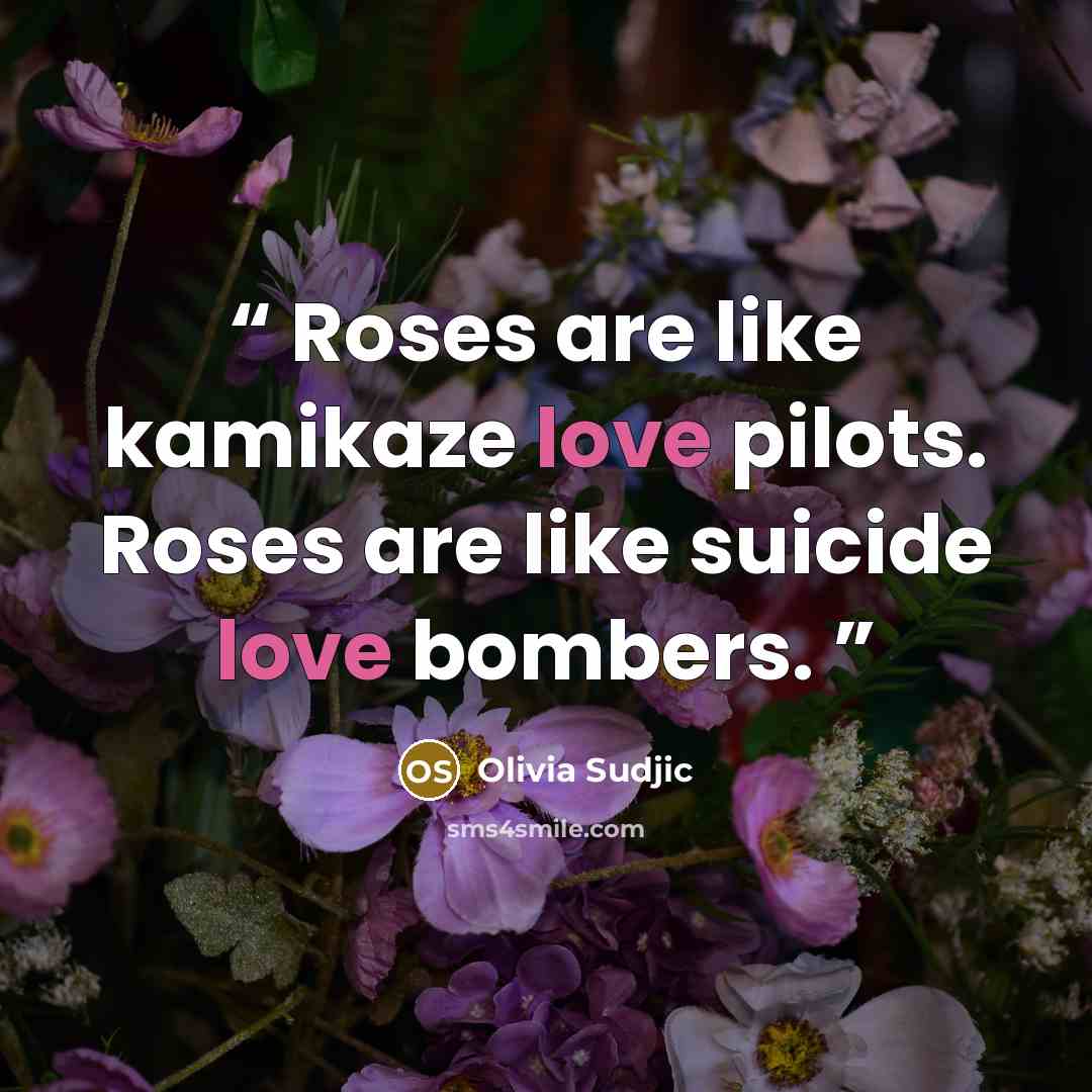 “Roses are like kamikaze love pilots. Roses are like suicide love bombers.” quote by Olivia Sudjic