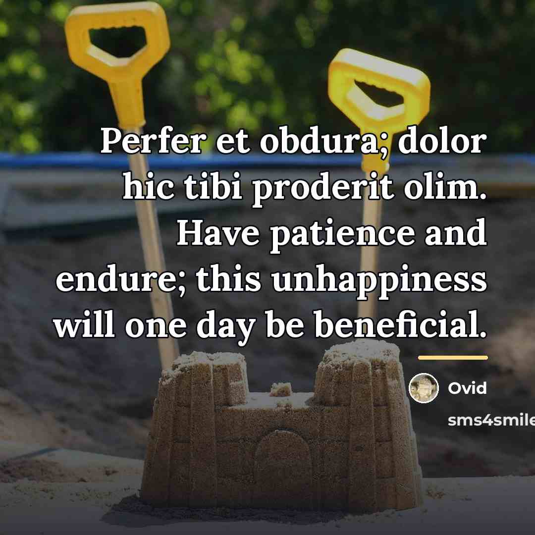 “Perfer et obdura; dolor hic tibi proderit olim. Have patience…” quote by Ovid