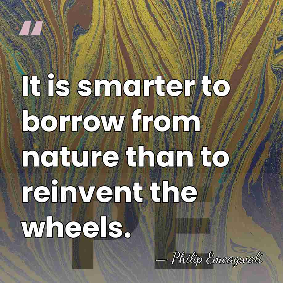 It is smarter to borrow from nature than to reinvent the wheels. - Philip Emeagwali