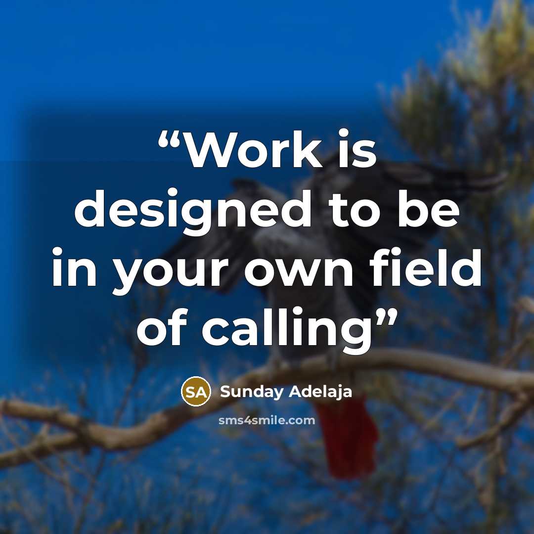 “Work is designed to be in your own field of calling” quote by Sunday Adelaja