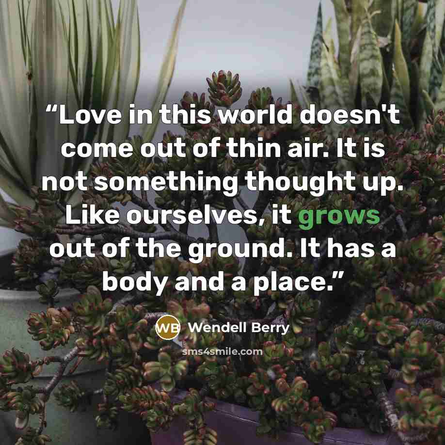 “Love in this world doesn't come out of thin air. It is not something thought up. Like ourselves, it grows out of the ground. It has a body and a place.” quote by Wendell Berry