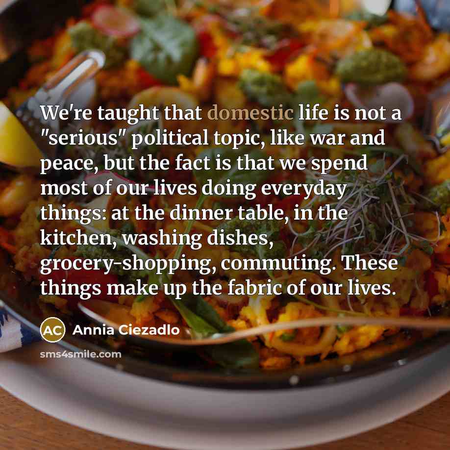 “We're taught that domestic life is not a "serious" political…” quote by Annia Ciezadlo