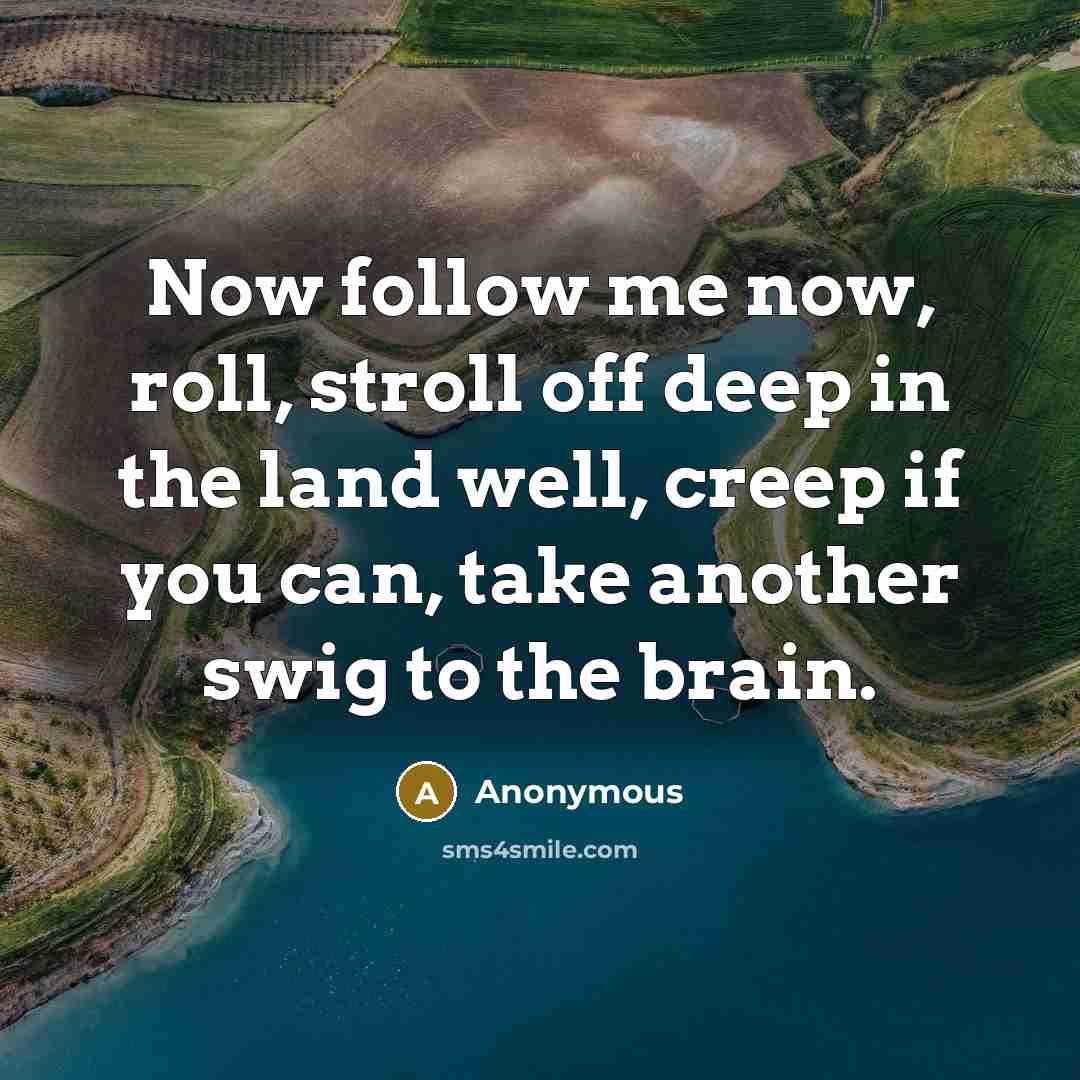“Now follow me now, roll, stroll off deep in the land well, creep if you can, take another swig to the brain.” quote by Anonymous
